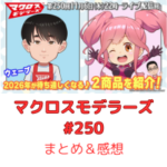 マクロスモデラーズ　第250回　まとめ・感想　(2025年11月6日22:00〜配信)